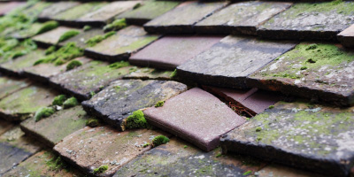 Woodford roof repair costs